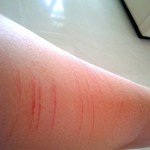 Profile Picture of Jerry Barton (@passingeru3) on Instagram