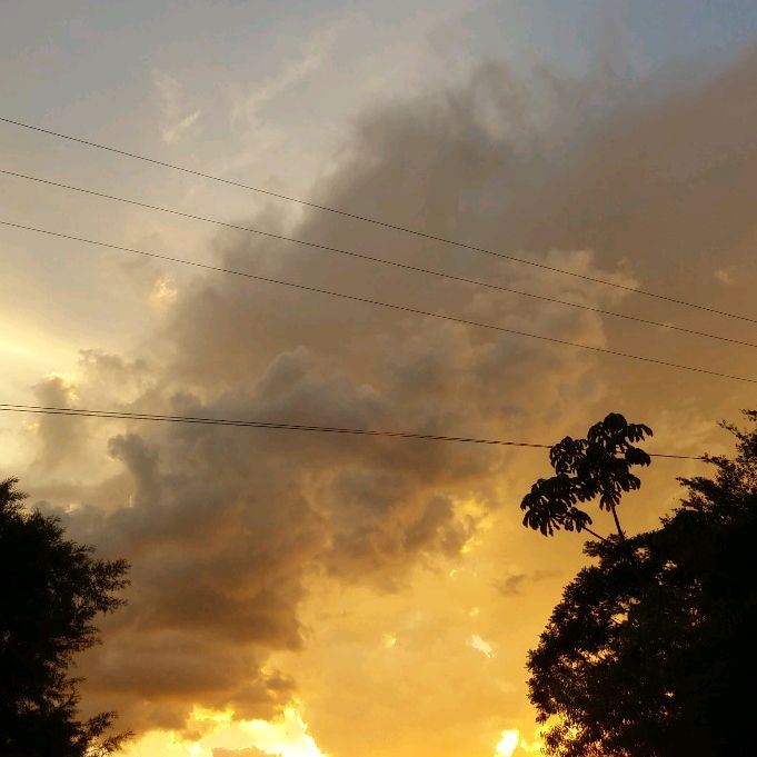 Profile Picture of Jane Gielow (@jane.gielow) on Tiktok