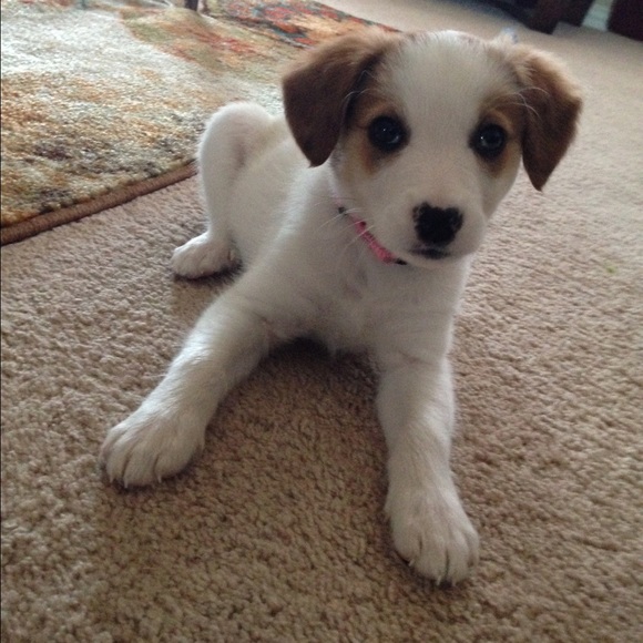 Profile Picture of Jamie Defibaugh (@ochepocho) on Poshmark