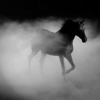 Filipe Nicholas De O - Twitter Profile Picture of Filipe Nicholas De O (@filipenicholas) on Twitter