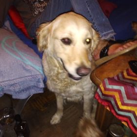 Monika - Pinterest Profile Picture of Monika (@fischermonika47) on Pinterest