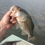 Profile Picture of James O'Donnell (@odonnell2488) on Instagram