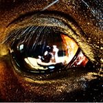 Profile Picture of Alex Kittler (@as.kittler) on Instagram