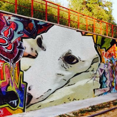 Profile Picture of Jacqueline Sheridan (@jacqllll) on Twitter