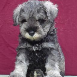 Profile Picture of Eunice A.Escalona (@EuniceAEscalona) on Twitter