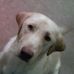 Profile Picture of Rex Grant (@rex.grant.12) on Facebook