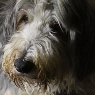 Profile Picture of Joseph Laxton (@laxton_joseph) on Instagram