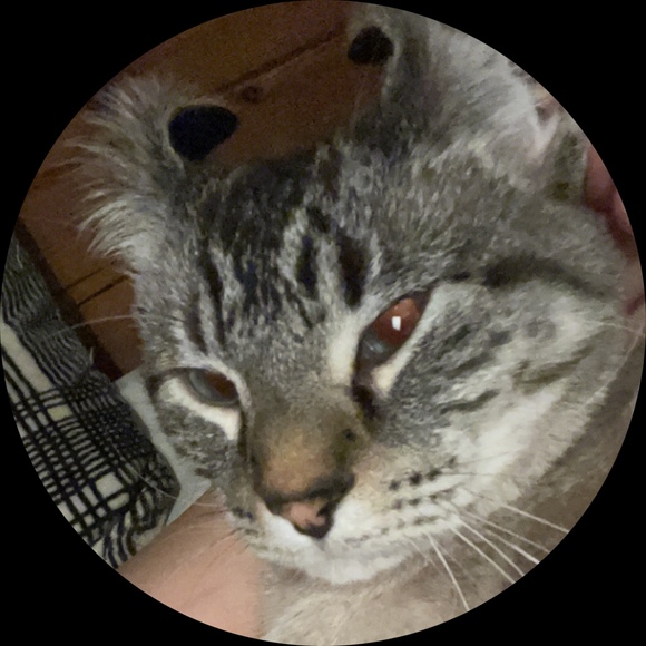 Profile Picture of Alex Merrill (@replacemynose) on Poshmark