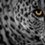 Profile Picture of Muhammad Farooq Aslam (@muhammad farooq aslam) on Flickr