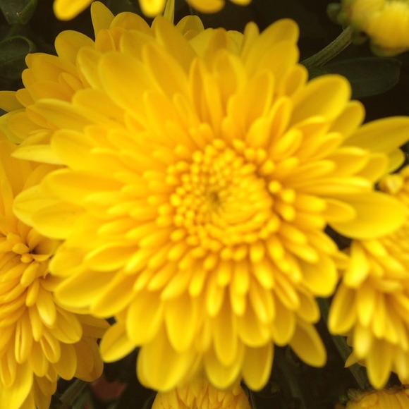 Profile Picture of Jamie Humphreys (@jada10_4) on Poshmark