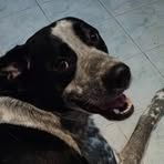 Profile Picture of Francesco Toriello (@francesco.toriello.52) on Facebook