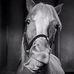 Profile Picture of Edward Teed (@edward.teed.3) on Facebook