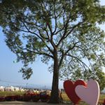 Profile Picture of Janice Hsieh (@yuling1688) on Instagram