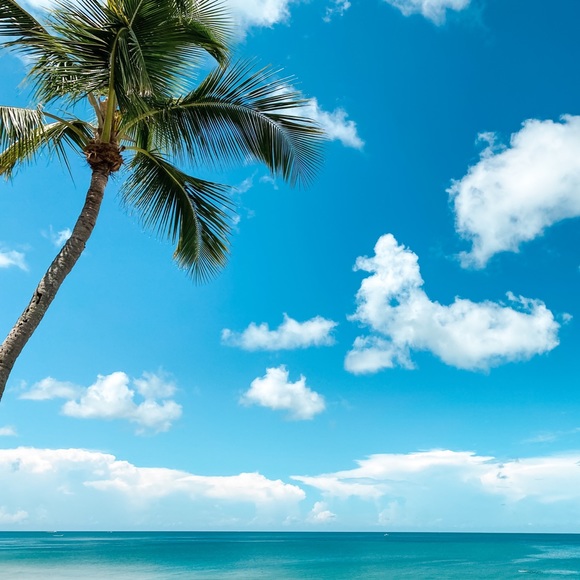 Profile Picture of Tanya Vaintroub (@tanyavaintroub) on Poshmark