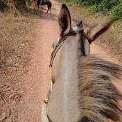 Profile Picture of Daniel Quirino  (@DanielQuirinoDaSilvavieira) on Youtube