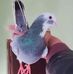 Profile Picture of Aslam Ibrahim (@Aslam-Ibrahim) on Facebook