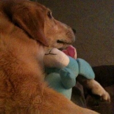 Profile Picture of Amy Stamper (@amystamp21) on Twitter