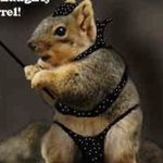Profile Picture of Jeffferry the lerriuqs (@jeffferry_da_squirrel) on Instagram