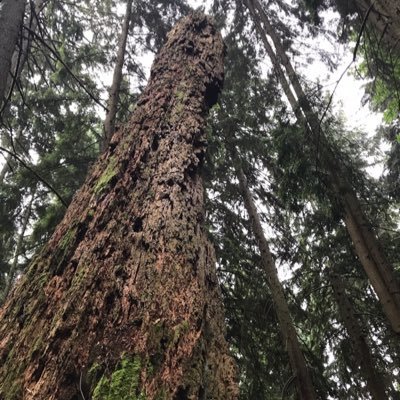 Profile Picture of Curtis Beal (@curtis_beal) on Twitter