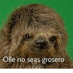 Profile Picture of Nicolas Toselli Ustari (@nicolastosellii) on Instagram