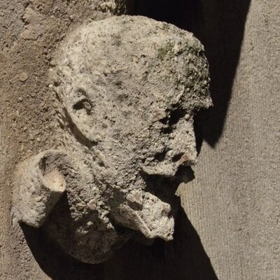 Profile Picture of TherealMattGull (@therealMattGull) on Twitter