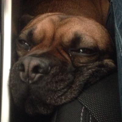 Profile Picture of Paul Sobotta (@paul_sobo) on Twitter