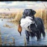 Profile Picture of Justin Tuma (@tumajustin) on Instagram