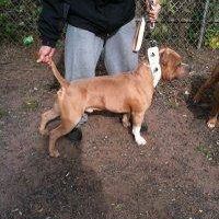 Profile Picture of Brandon Foster (@brandon.foster.77920526) on Facebook