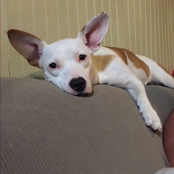 Profile Picture of Bailey Ratliff (@2014bratliff) on Poshmark