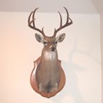 Profile Picture of David Hulslander (@thebuck.stopshere) on Instagram