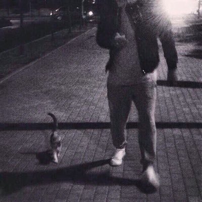 Profile Picture of AlexMira (@AlexMira19) on Twitter