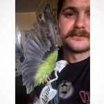 Kyle Thomas - Instagram Profile Picture of Kyle Thomas (@kt_inatree) on Instagram