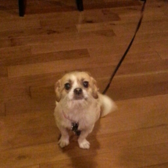 Shelly Westerholt - Poshmark Profile Picture of Shelly Westerholt (@shelz01) on Poshmark