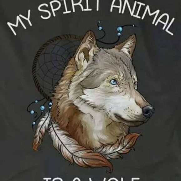 Profile Picture of Jennifer Gattrell (@tarrain70) on Poshmark