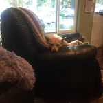 Profile Picture of Jeff Haas (@jeffhass9055) on Instagram