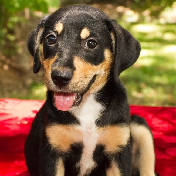 Profile Picture of Hedy Lam (@huxstable) on Poshmark