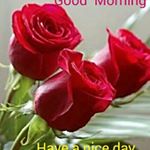 Profile Picture of sachin deshmukh (@deshmuk.sachin) on Instagram