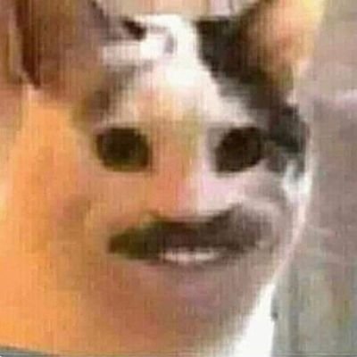 Profile Picture of Brad Cherry (@BradCherry11) on Twitter