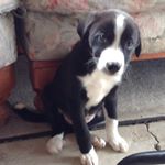 Profile Picture of Eric Chen (@derickcheeen) on Instagram