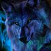 Profile Picture of Wolf Ghost (@daynescott9) on Pinterest