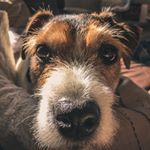 Profile Picture of Kevin Paulus (@kevin.paulus_) on Instagram