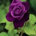 Profile Picture of Jeeva Ashok (@jeeva.ashok.520) on Facebook