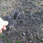 Profile Picture of Raymond Maciag (@raymondmaciag) on Instagram