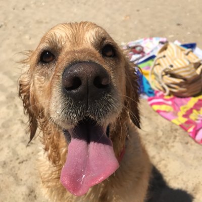 Profile Picture of John Markham (@jfmarkham) on Twitter