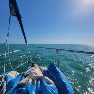 Profile Picture of Jeanine Sachs (@sachsjeanine) on Instagram