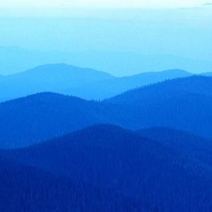 Quin Freeman - Myspace Profile Picture of Quin Freeman (@229561302) on Myspace