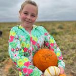 Profile Picture of Mandy Pyle Casey (@mandypylecasey) on Instagram