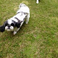 Profile Picture of Doug Holbrook (@doug-holbrook-4) on Quora