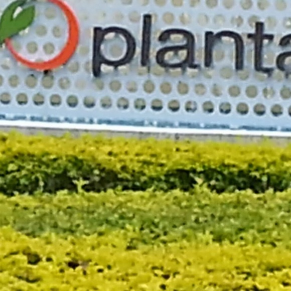 Profile Picture of Christopher David (@g140100843640) on Poshmark