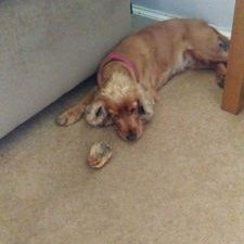 Profile Picture of Josh Neary (@JoshNeary5) on Twitter